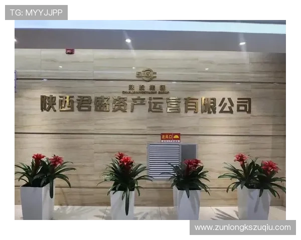 用户如何正确选择和使用尊龙网址集团官网的服务