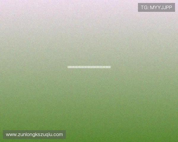 沙特与乌拉圭球队身价差异详解：影响世界杯表现的关键因素分析